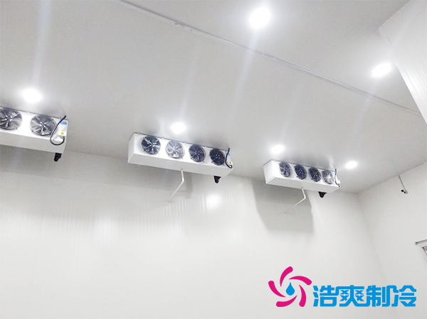 智能自動(dòng)化體外診斷試劑冷庫(kù)倉(cāng)儲(chǔ)定制專業(yè)廠家