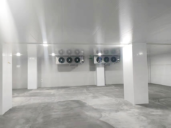  醫(yī)藥冷庫建造標(biāo)準(zhǔn),醫(yī)療冷藏庫溫度要求