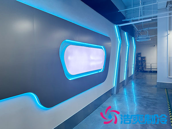 湖南大型智能全自動化醫(yī)藥冷庫建造方案