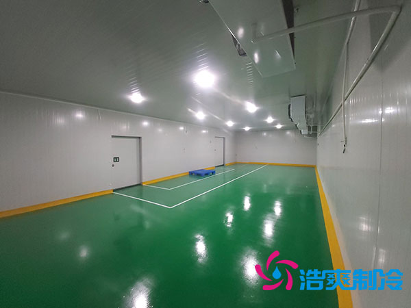 醫(yī)藥化工制冷工廠建造一個(gè)藥品冷庫要多少錢？-浩爽制冷