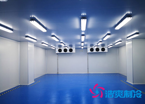 建一個(gè)制藥廠冷庫(kù)大概需要投資多少錢
