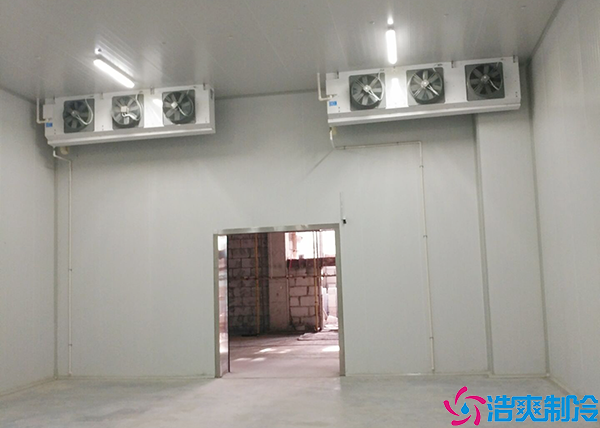  慶陽中型血漿冷庫設計建造