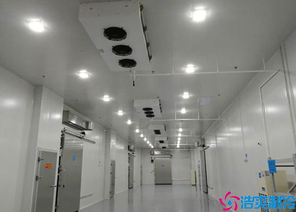  醫(yī)院冷庫建設(shè)方案
