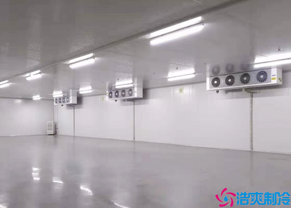  醫(yī)藥冷庫設計規(guī)范方案