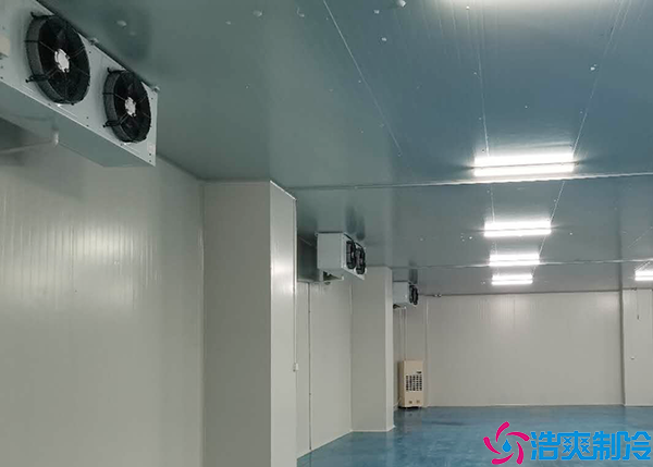  益陽gsp醫(yī)藥冷庫建設(shè)方案