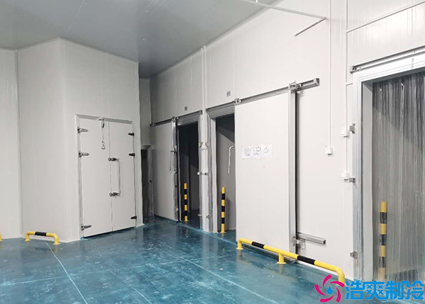  300懷化血漿冷庫建造價格多少錢？