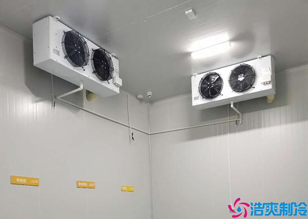  重慶醫(yī)療冷庫建造項目有哪些內(nèi)容？