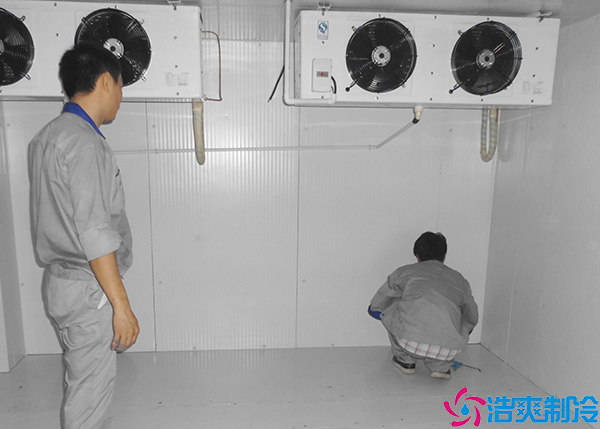 醫(yī)藥冷凍庫