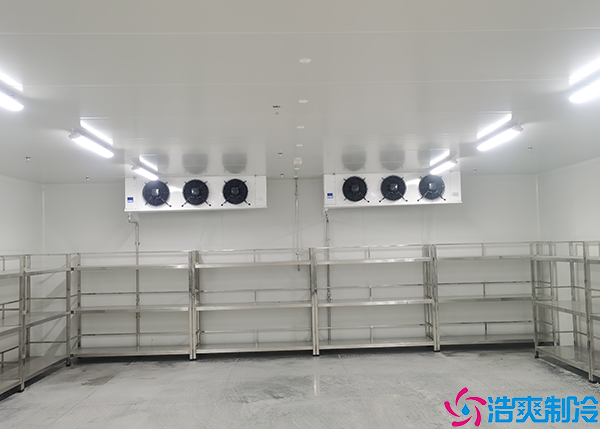  日照小型醫(yī)藥冷庫建設(shè)項(xiàng)目有哪些？