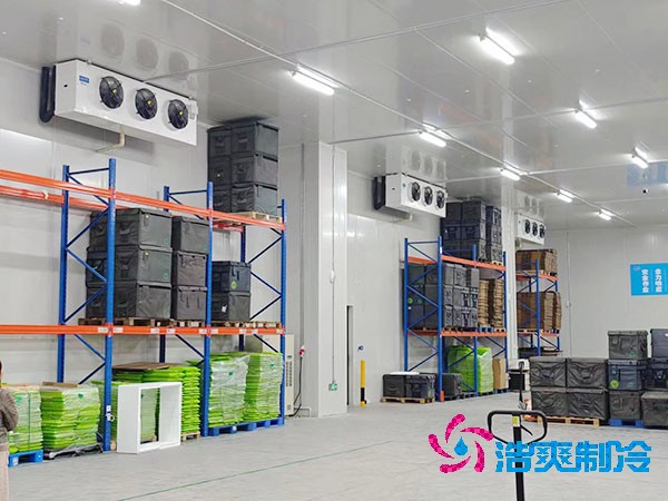 要建設(shè)一個醫(yī)藥冷庫大概需要多少資金呢？