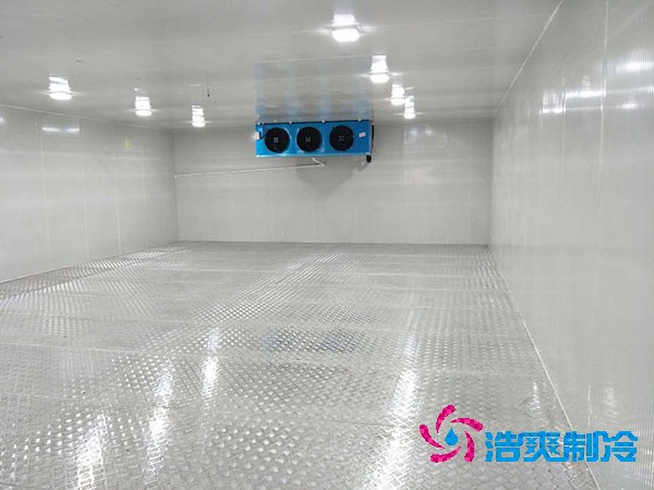 小型醫(yī)藥冷庫建造設(shè)計(jì)規(guī)劃