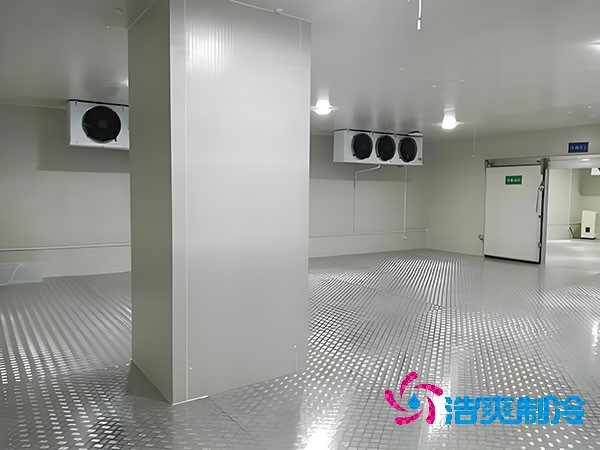 關(guān)于血液血漿冷庫(kù)建造的核心要點(diǎn)解析