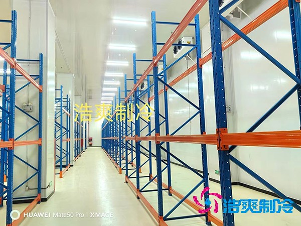  如何妥善準(zhǔn)備大型生物醫(yī)藥冷庫的安裝工作？
