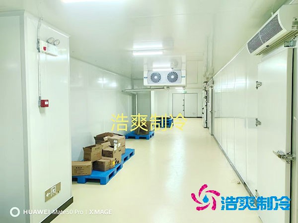  2025年小型醫(yī)藥冷庫建造價格多少錢？