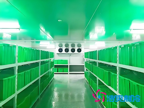  上海醫(yī)藥冷庫(kù)（醫(yī)療器械冷庫(kù)）造價(jià)問題解析
