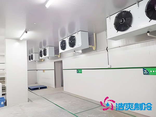 醫(yī)藥冷庫全方位設計安裝解析