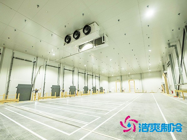  2025年全國醫(yī)藥冷庫造價解析與投資指南！