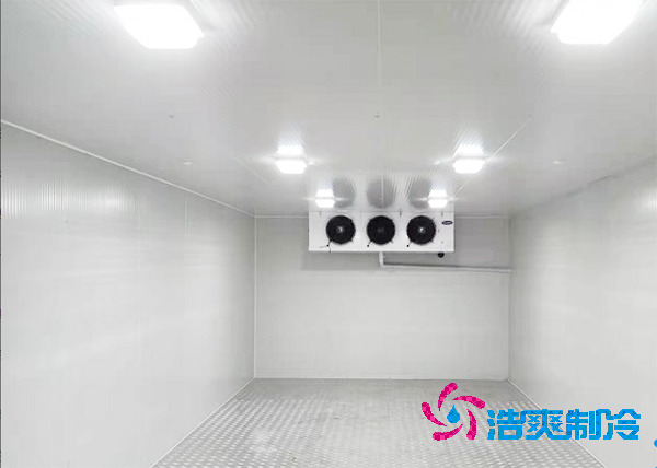  醫(yī)療藥品倉庫內建設醫(yī)藥冷庫造價預算問題解析