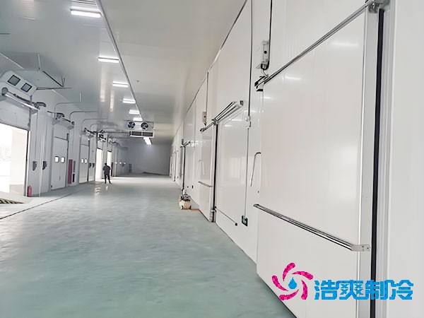 800立方醫(yī)藥冷庫造價
